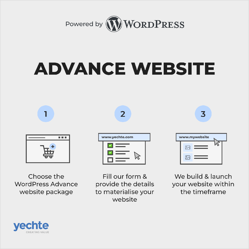 WordPress Advance Website