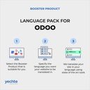 Odoo Language Pack