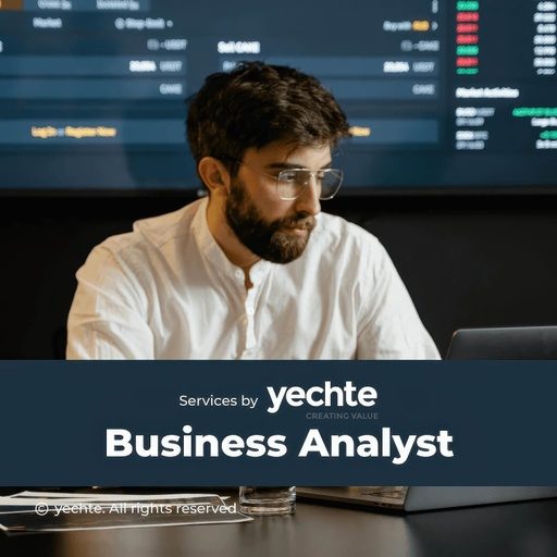 Business Analyst Consultant