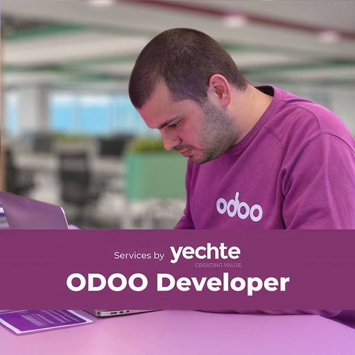 Odoo Developer